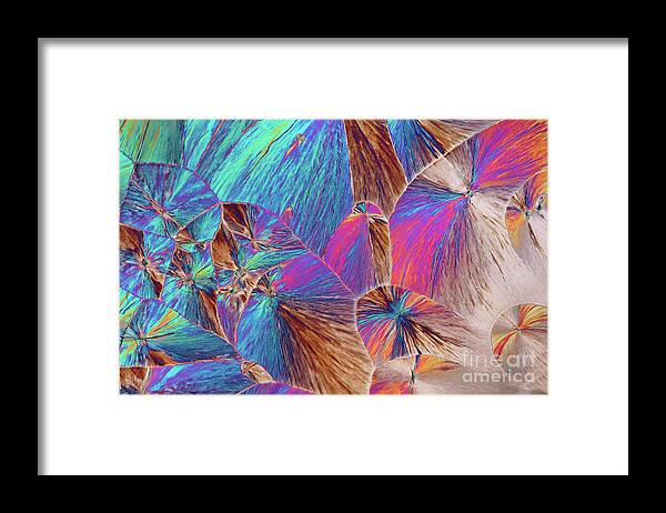 Differential Interference Contrast Framed Print featuring the photograph Dopamine Crystals #24 by Karl Gaff / Science Photo Library