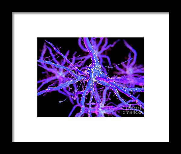 3d Framed Print featuring the photograph Illustration Of A Nerve Cell #25 by Sebastian Kaulitzki/science Photo Library