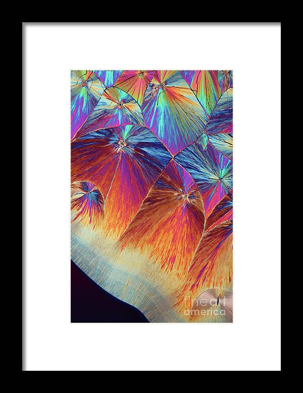 Differential Interference Contrast Framed Print featuring the photograph Dopamine Crystals #27 by Karl Gaff / Science Photo Library