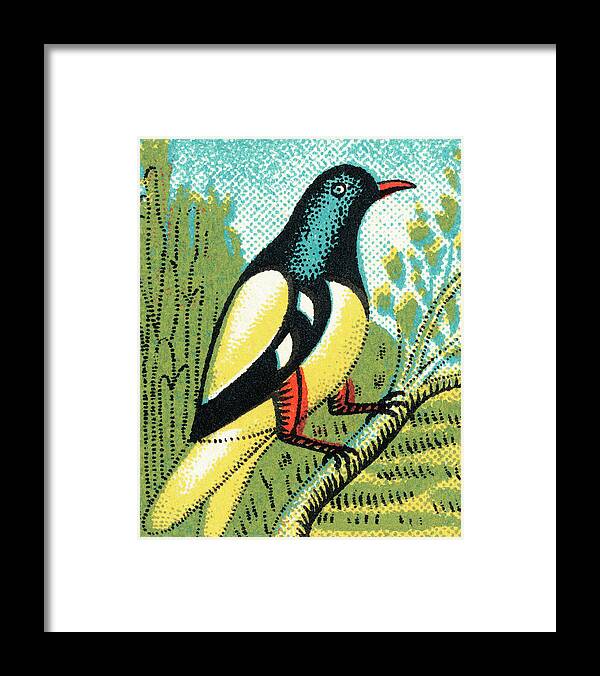 Animal Framed Print featuring the drawing Bird #28 by CSA Images
