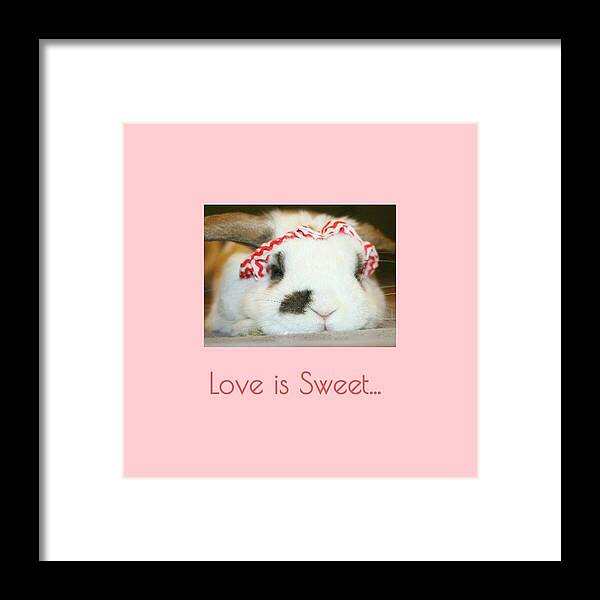  Framed Print featuring the photograph Love is Sweet... #4 by The Art Of Marilyn Ridoutt-Greene
