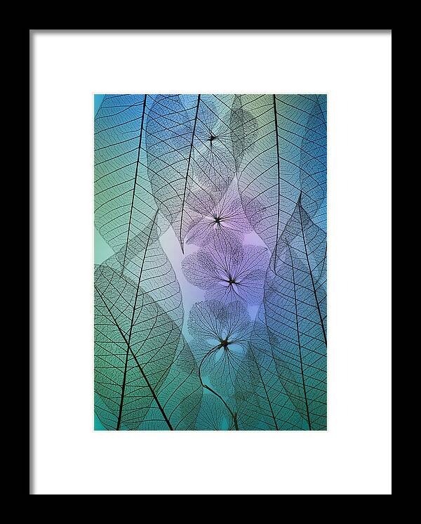 Macro Framed Print featuring the photograph Patchwork Of Flowers And Leafs #3 by Shihya Kowatari