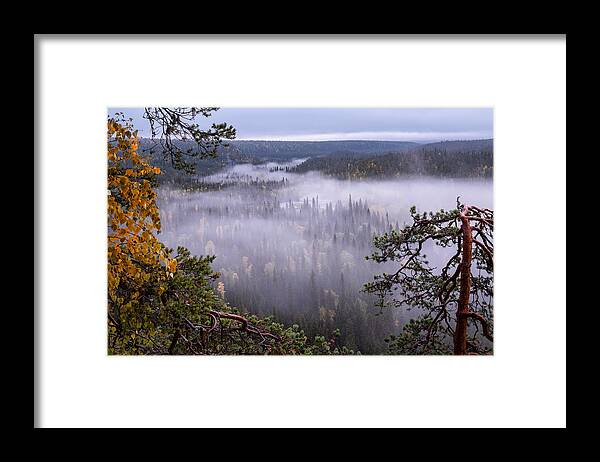 Landscape Framed Print featuring the photograph Scenic Landscape View With Morning Fog #3 by Jani Riekkinen