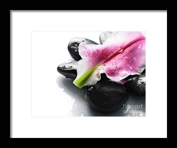 Spa Framed Print featuring the photograph Spa concept with petal by Jelena Jovanovic
