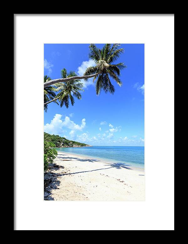 Tropical Tree Framed Print featuring the photograph Tropical Beach #3 by Fredfroese
