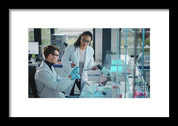 Test Framed Print featuring the photograph Two Young Scientists Using Pipette #3 by Gorodenkoff Productions/science Photo Library