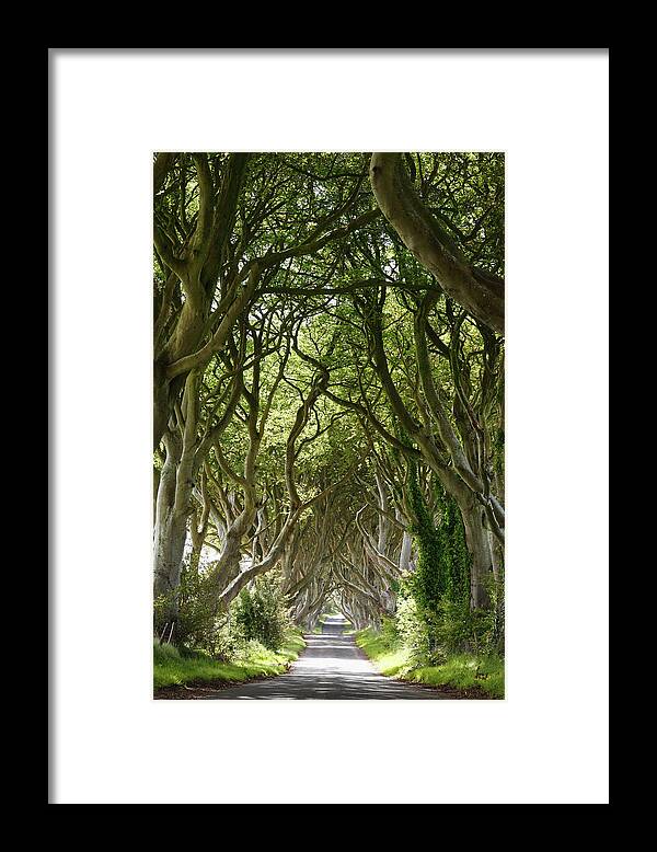 Tranquility Framed Print featuring the photograph United Kingdom, Northern Ireland #3 by Westend61