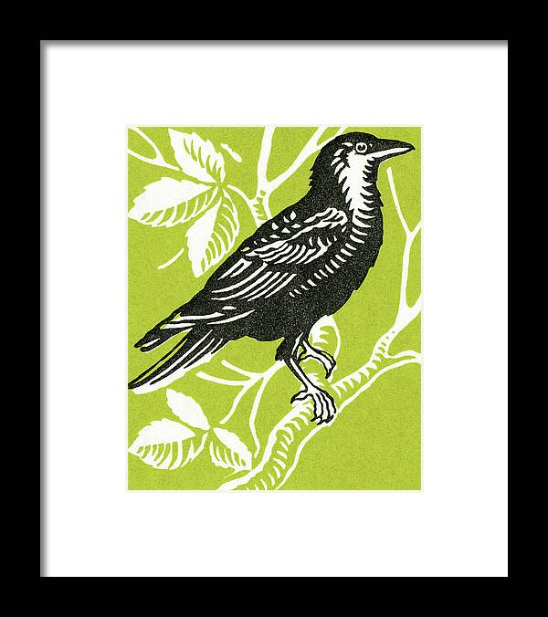 Animal Framed Print featuring the drawing Bird #34 by CSA Images