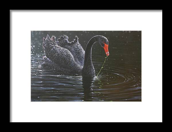 Black Swan Framed Print featuring the digital art 36 by Michael Jackson
