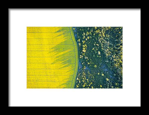Landscape Framed Print featuring the photograph Aerial Drone Top View Of Yellow #4 by Ivan Kmit