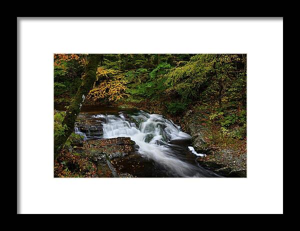 Cascade Framed Print featuring the photograph Cascade in Litttle Pigeon River in the Summertime #4 by Darrell Young