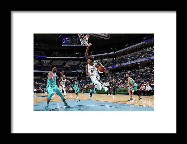 Ja Morant Framed Print featuring the photograph Charlotte Hornets V Memphis Grizzlies #4 by Joe Murphy
