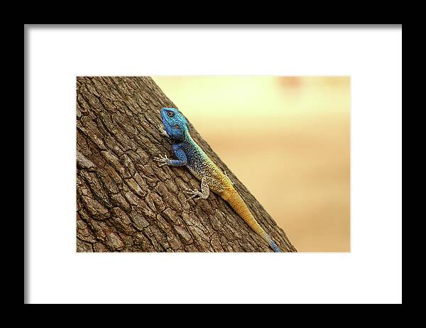  Framed Print featuring the photograph 4 by Eric Pengelly