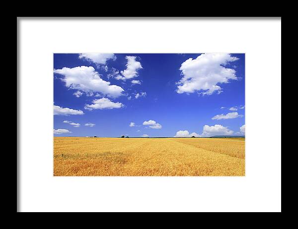 Scenics Framed Print featuring the photograph Green Field - Landscape #4 by Konradlew