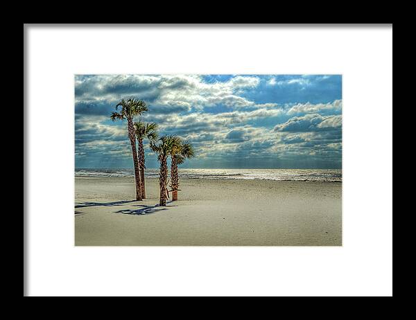 Alabama Framed Print featuring the photograph 4 Palms on the Beach by Michael Thomas