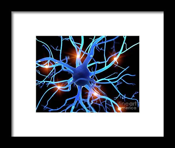 3d Framed Print featuring the photograph Illustration Of A Human Nerve Cell #47 by Sebastian Kaulitzki/science Photo Library