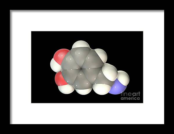 Artwork Framed Print featuring the photograph Dopamine Molecule #5 by Kateryna Kon/science Photo Library