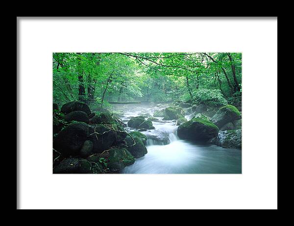 Non-urban Scene Framed Print featuring the photograph Mountain Stream #5 by Ooyoo