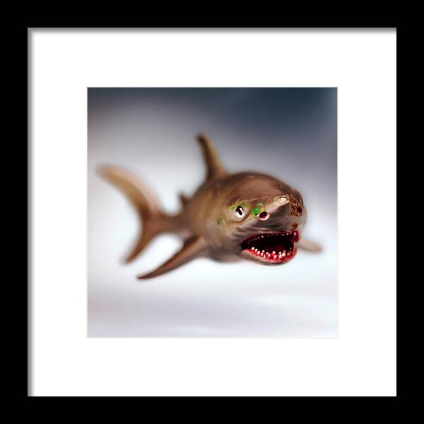 Afraid Framed Print featuring the drawing Shark #5 by CSA Images