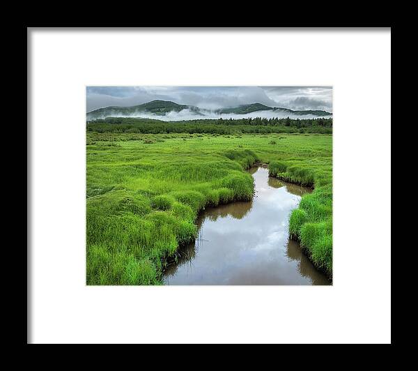Canaan Valley State Park Framed Print featuring the photograph USA, West Virginia, Canaan Valley State #5 by Jaynes Gallery