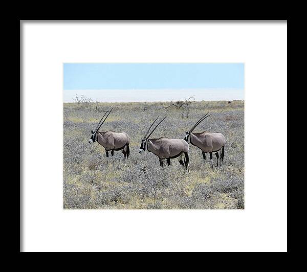 Africa Framed Print featuring the photograph 51 by Eric Pengelly