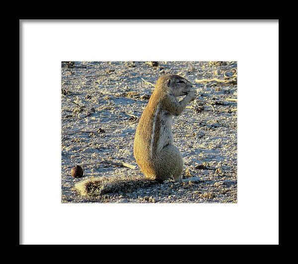 Africa Framed Print featuring the photograph 54 by Eric Pengelly