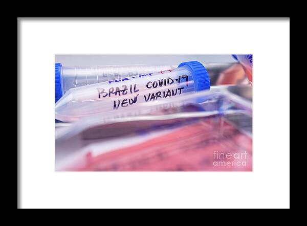 Brazil Framed Print featuring the photograph Sars-cov-2 Variant Research #58 by Digicomphoto/science Photo Library