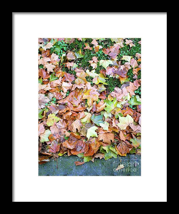 Abstract Framed Print featuring the photograph Autumn leaves background #6 by Tom Gowanlock