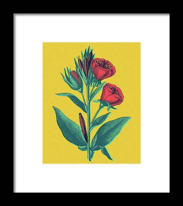 Bloom Framed Print featuring the drawing Flower Blossom #6 by CSA Images
