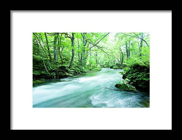 Scenics Framed Print featuring the photograph Mountain Stream #6 by Ooyoo