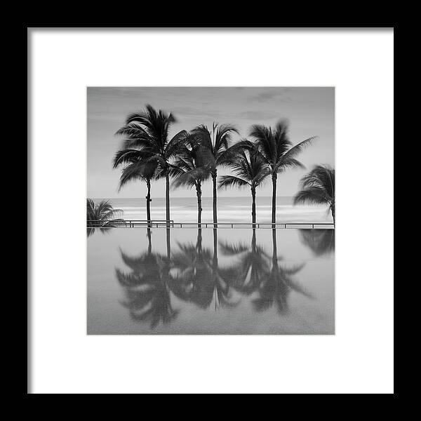 6 Palms Framed Print featuring the photograph 6 Palmeras by Moises Levy