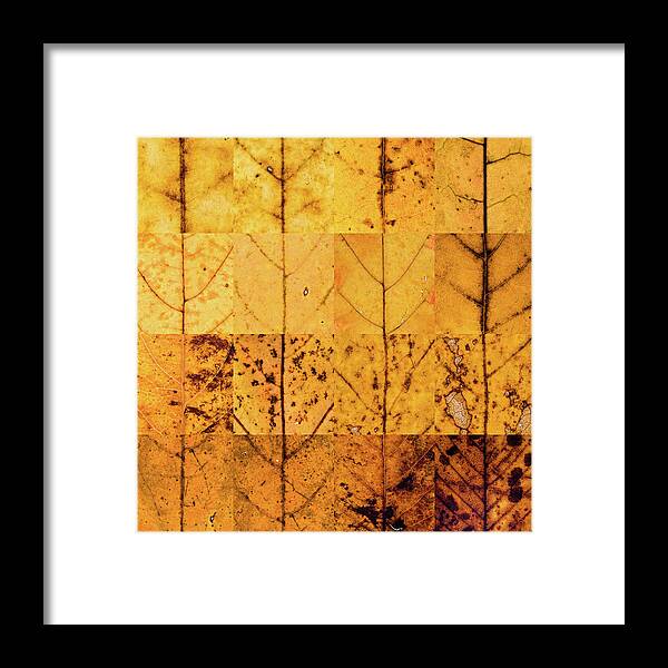 Swatch Framed Print featuring the photograph Swatches - Autumn Leaves inspired by Gerhard Richter #7 by Shankar Adiseshan