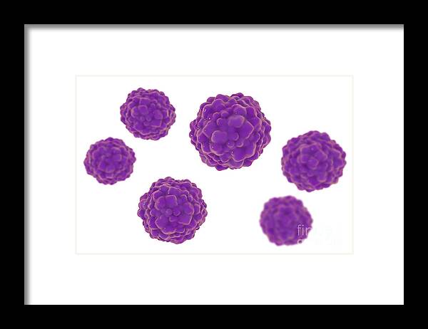 Nobody Framed Print featuring the photograph Transfusion Transmitted Virus Particles #6 by Kateryna Kon/science Photo Library