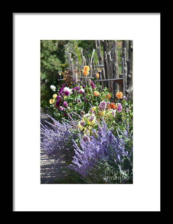 Deb Cawley Framed Print featuring the photograph Untitled #6 by Deb Cawley