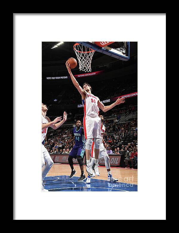 Boban Marjanovic Framed Print featuring the photograph Charlotte Hornets V Detroit Pistons #7 by Chris Schwegler