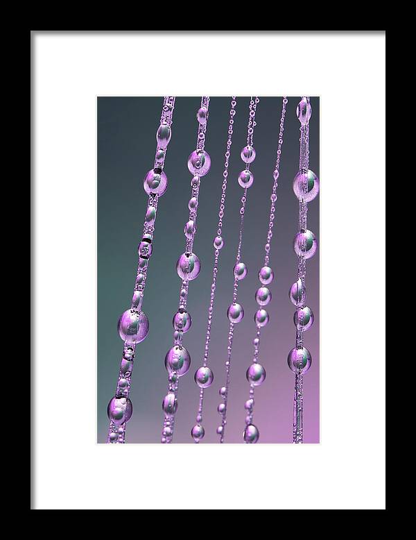 Dew Framed Print featuring the photograph Droplet #7 by Soramamecamera