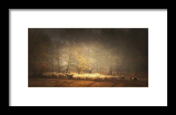 Mastbos Framed Print featuring the photograph Frozen In Time #7 by Saskia Dingemans