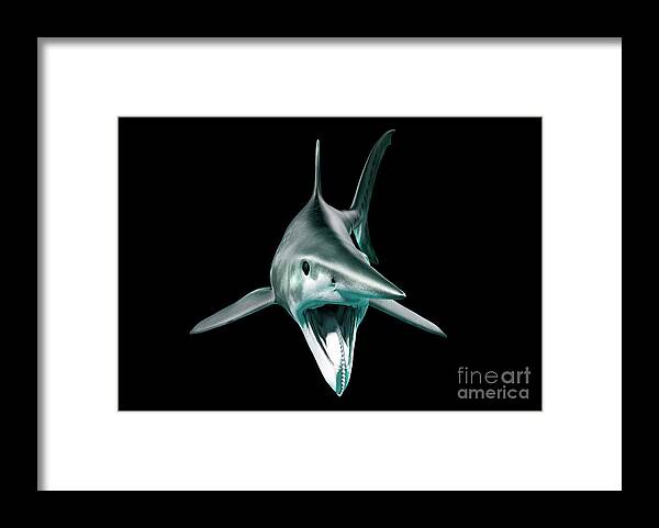 Helicoprion Framed Print featuring the photograph Helicoprion Prehistoric Fish #7 by Hypersphere/science Photo Library
