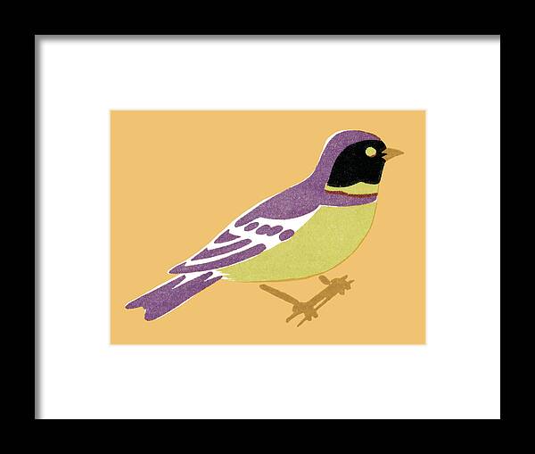 Animal Framed Print featuring the drawing Bird #73 by CSA Images