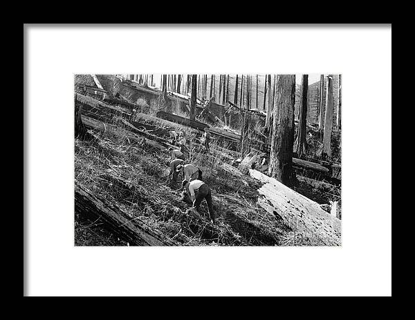 Burnt Framed Print featuring the photograph U.s. Forest Service #8 by Bettmann