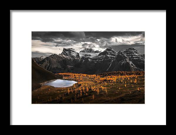 Larch Framed Print featuring the photograph A Burst Of Gold In Larch Valley by May G