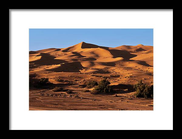 Sand Framed Print featuring the photograph A caravan in the desert by Claudio Maioli