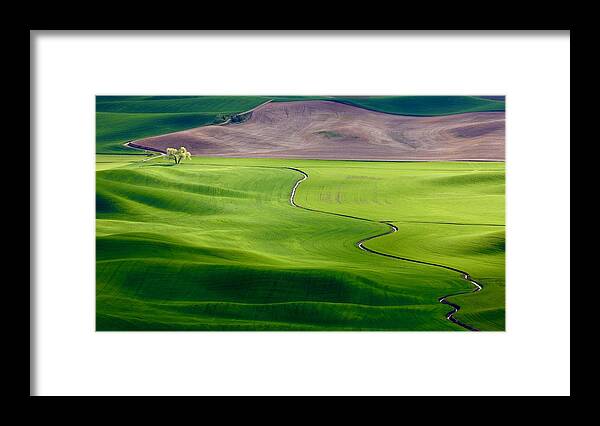 Palouse Framed Print featuring the photograph A Creek Runs Through It by Danny Gao