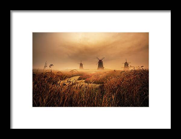 Morning Framed Print featuring the photograph A Fascinating Morning by Tiger Seo