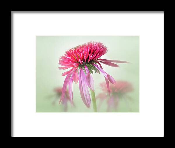 Nature Framed Print featuring the photograph A garden symhony. by Usha Peddamatham
