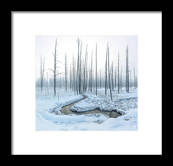 Yellowstone Framed Print featuring the photograph A Heart In Winter Forest by Dianne Mao