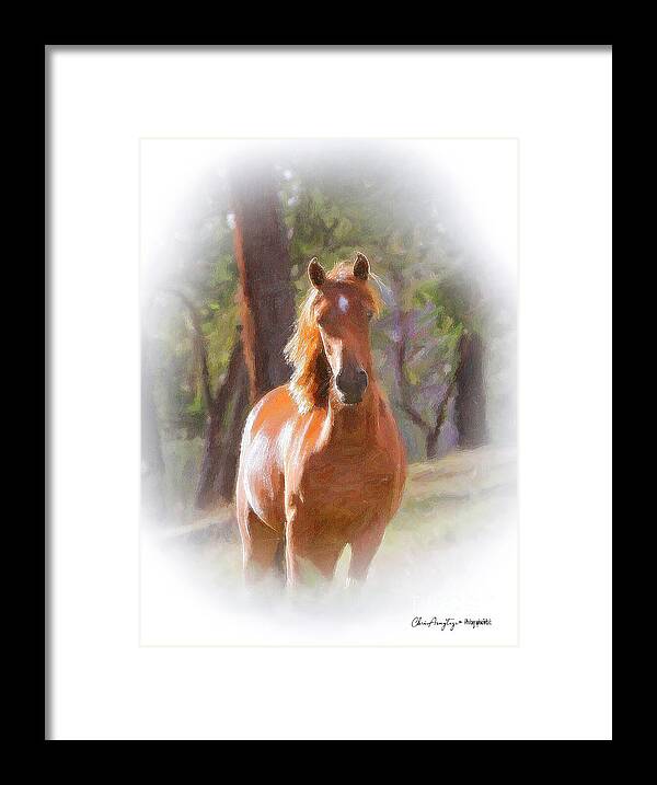 Horse Framed Print featuring the pastel A horse by Chris Armytage