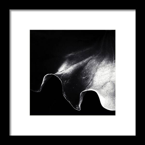 Light Framed Print featuring the photograph A Kiss Of Light by Piet Flour