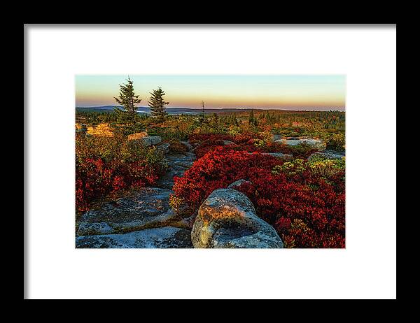 Bear Rocks Preserve Framed Print featuring the photograph A Rainbow of Fall Color at Dolly Sods by Lori Coleman