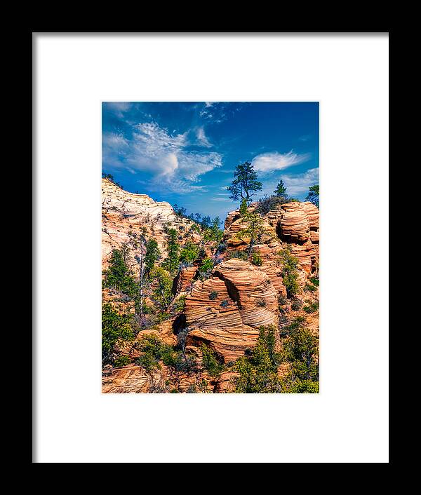 Trees Framed Print featuring the photograph A Scene In Zion National Park #2 by Anchor Lee